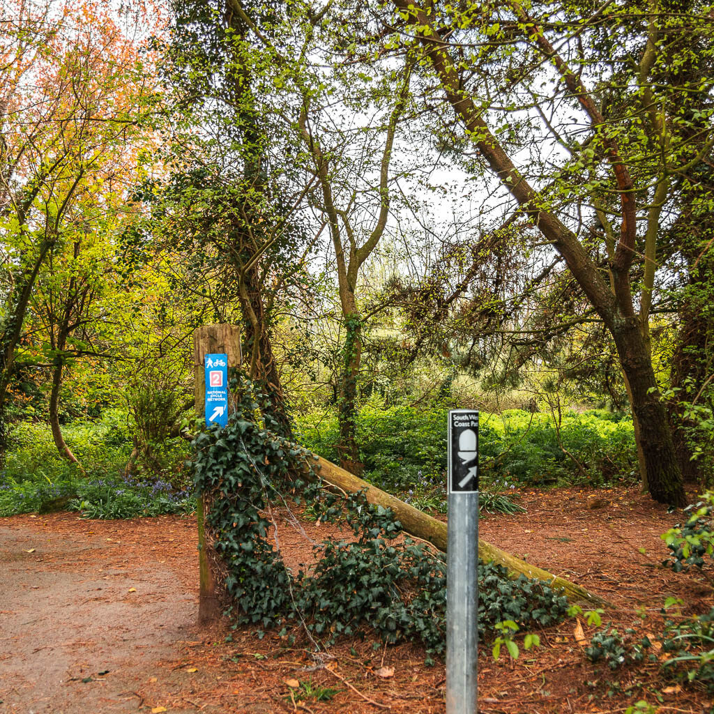 A pole with a South West Coast Path sticker in the woods, near the end of the walk from Charlestown to Par.