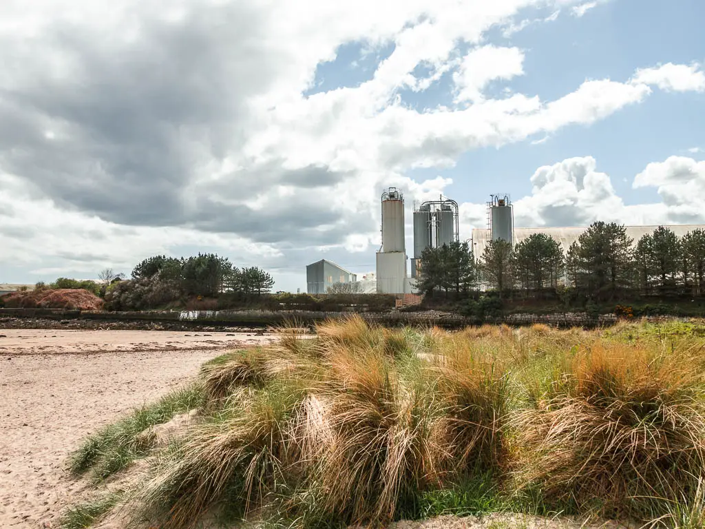 Looking across the tall grass next to the sandy beach towards the tall buildings of the industrial estate in the distance.