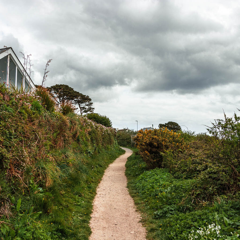 A path winding through bushes on the right and a hedge on the left.