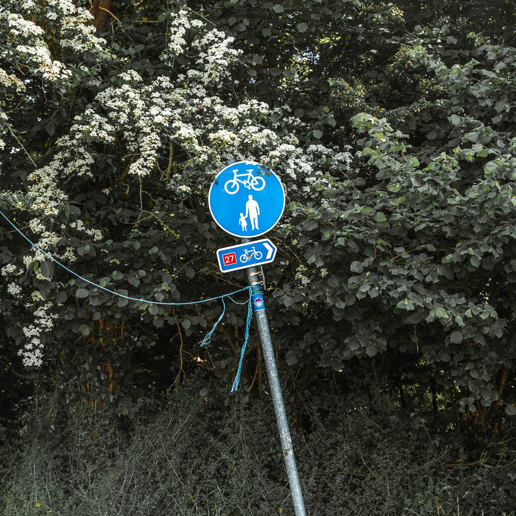 A blue walking and cycling signpost in front of the trees. 