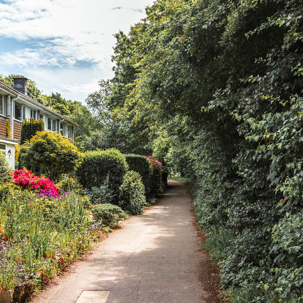 a path with bushes to the right and some bushes and flowers to the left in front of the houses.