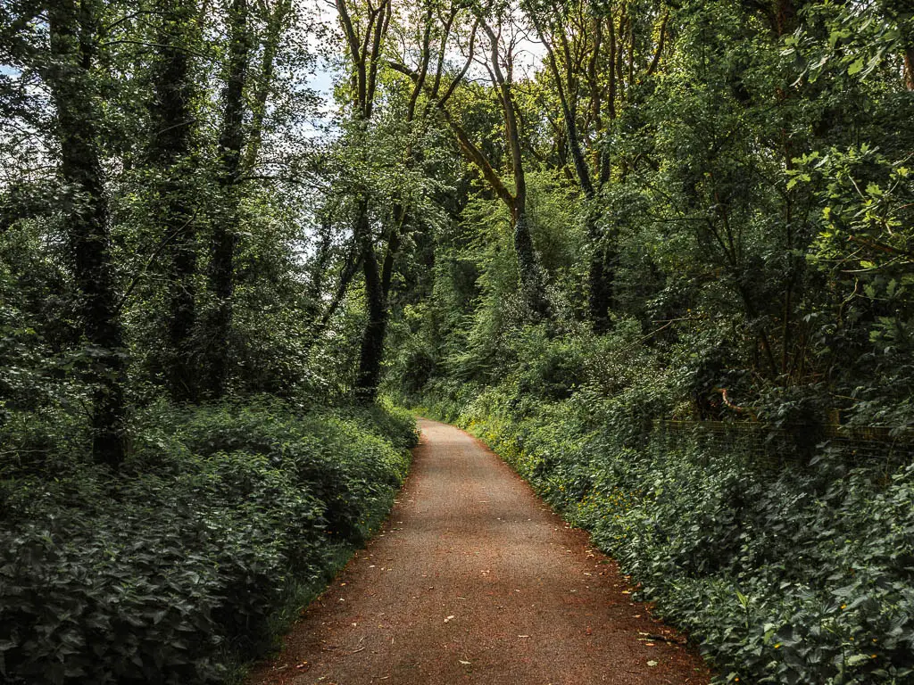 A bicycle path lined with bushes and trees on the Drakes trail walk.