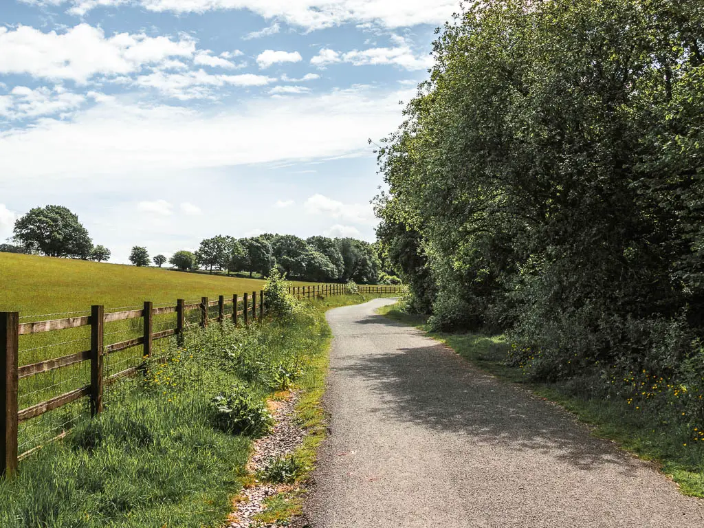 A wide cycle path with bushes and trees to the right and a wooden fence and green grass field on the left.