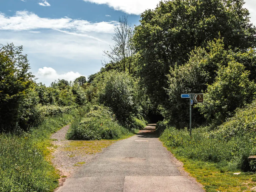 The wide path running straight, with a small trail going uphill to the left of it, on the Drakes Trail walk. The path are Bothe lined with lots of greenery. There is a trail signpost on the right path.