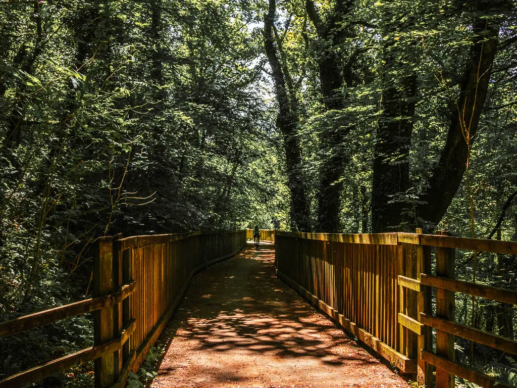 A path lined with a wooden fence, in the woodland.