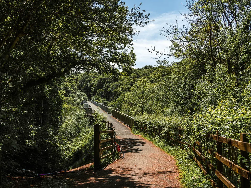 A path leading to a bridge which ruins along the tree tops, on the Drakes trail walk.