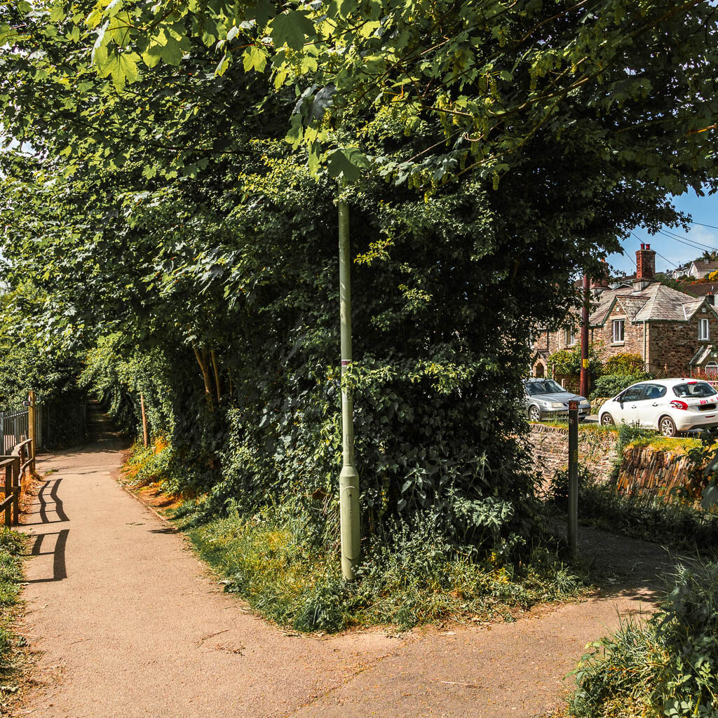 A trail split, divided by a tall hedges/bush.