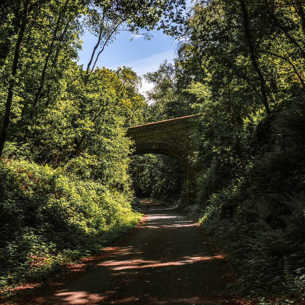 The path leading towards and under and archway bridge, surrounded by a mass of bushes and trees.