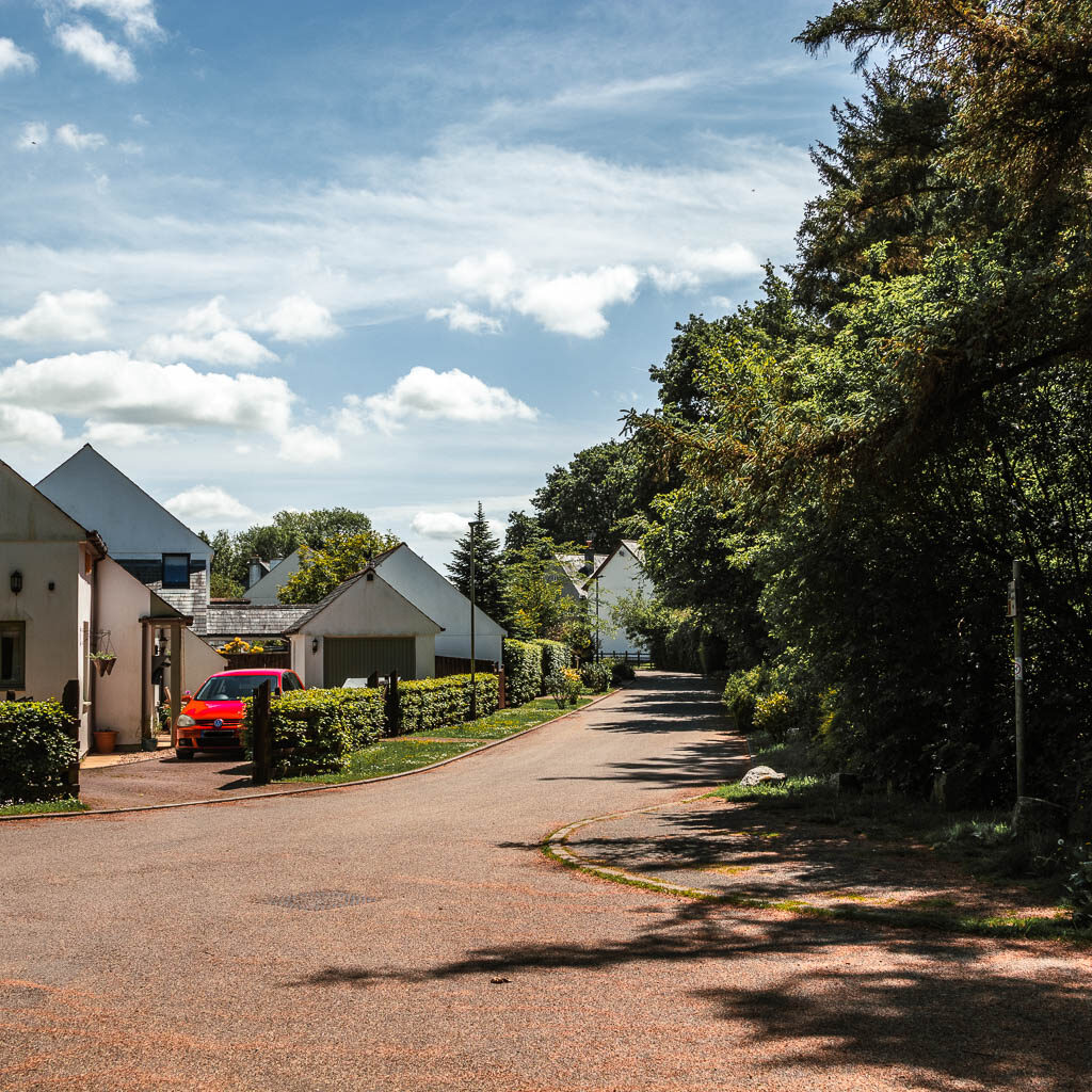 A residential road with hoses on the left and trees and bushes on the right.