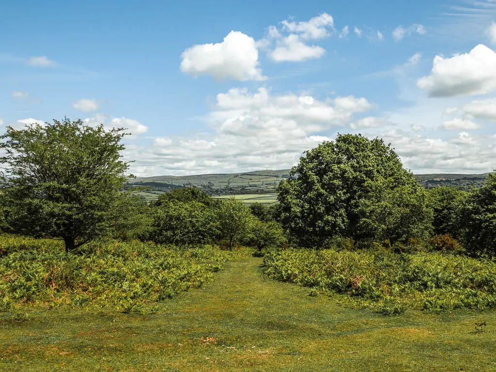 Looking down the grass hill to some short bushes trees and hills in the distance.