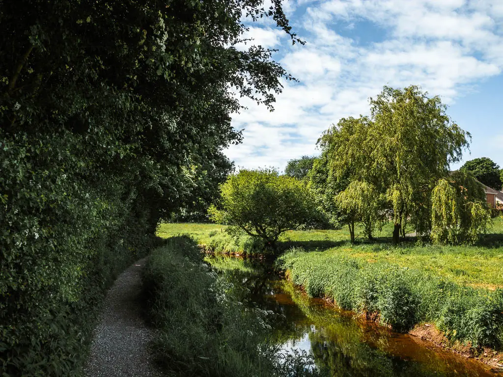 A path with the stream on the right with a field on the other side. There is a tall hedge on the left of the trail.