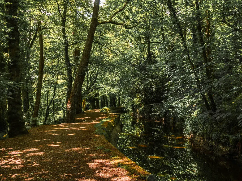 a wide path under the woods, running alongside a steam of water on the right.