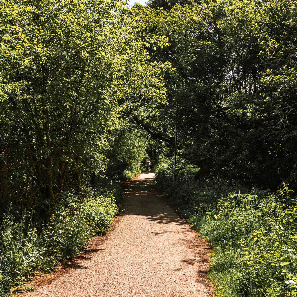 A cycle path lines with bushes and trees.