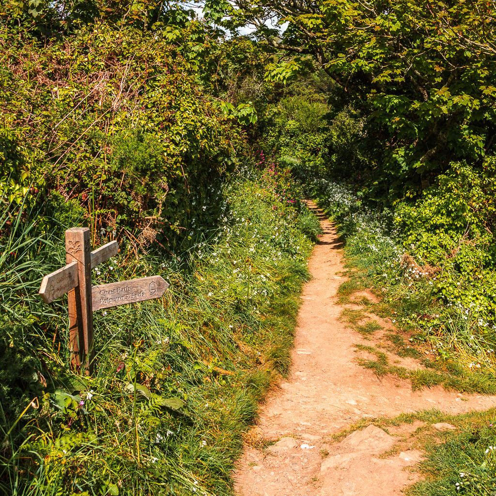 A dirt trail, with a wooden trail signpost on the left.
