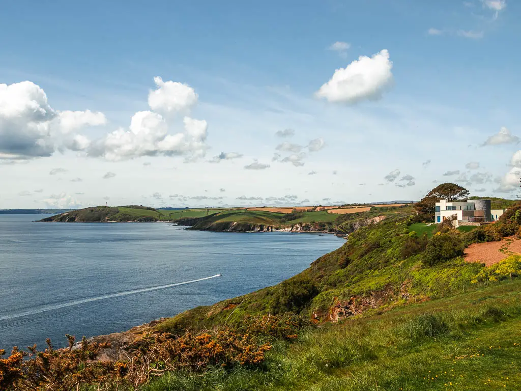 Looking along the grass clifftop to the sea ahead and left, and a view to the Gribbin Head peninsular on the other side.