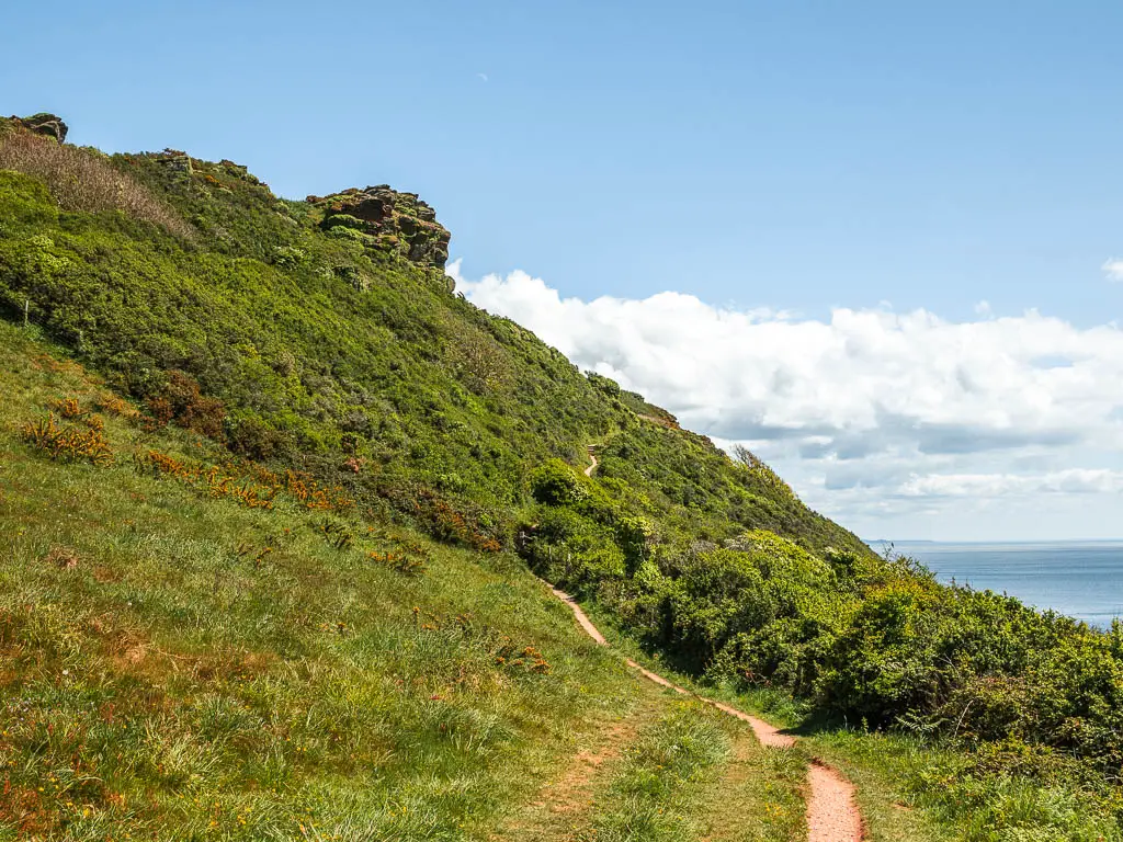 A trail running from the right and uphill ahead and left, on the side of a grass and bush covered hill.