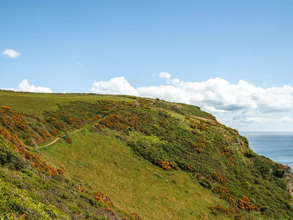 Looking ahead to the grass and bush covered hill, with a small trail running straight across it.