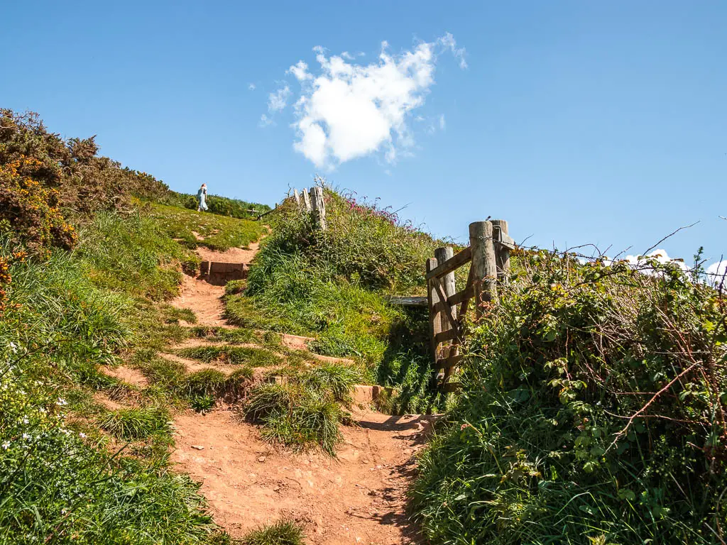 A dirt trail and steps leading steeply uphill on the left and a wooden gate and bushes to the right.