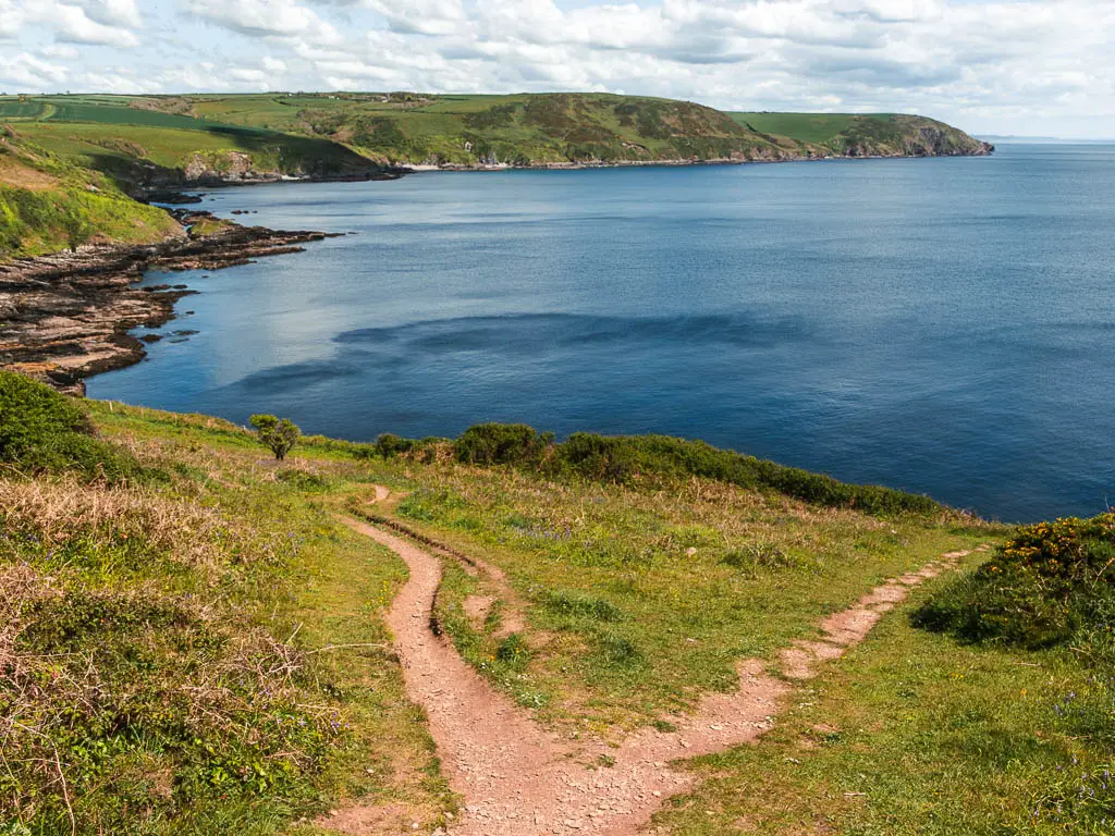 Looking down the grass hill with a trail split and a view along the coastline and deep blue sea ahead.