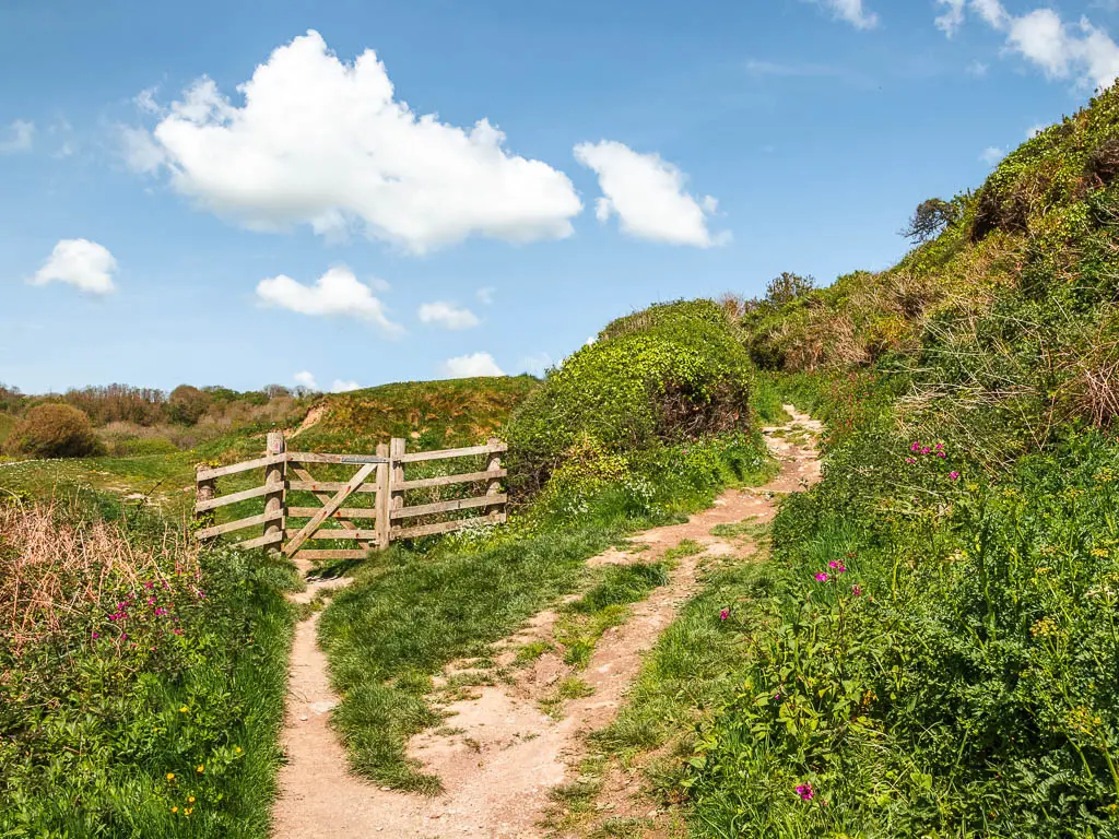 A dirt trail split, with the left going through a wooden gate and right leading uphill, surroudned by grass and bushes.
