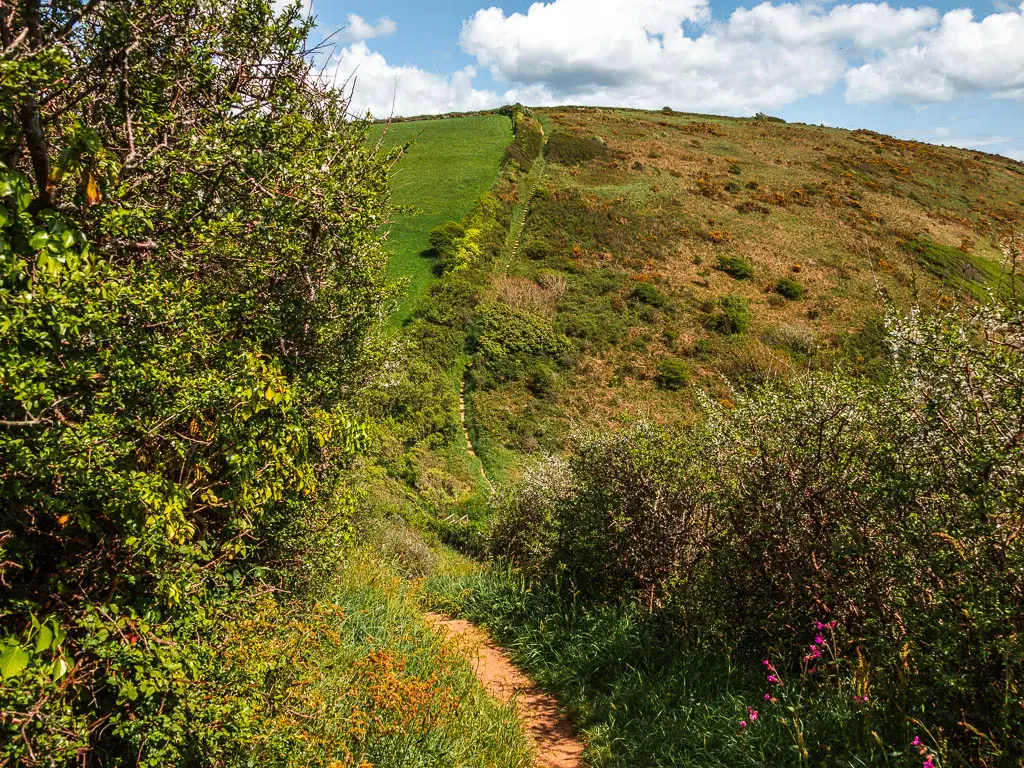A narrow dirt trail leading downhill then disappearing into the valley, then it appears again on the other side up a very steep big hill.