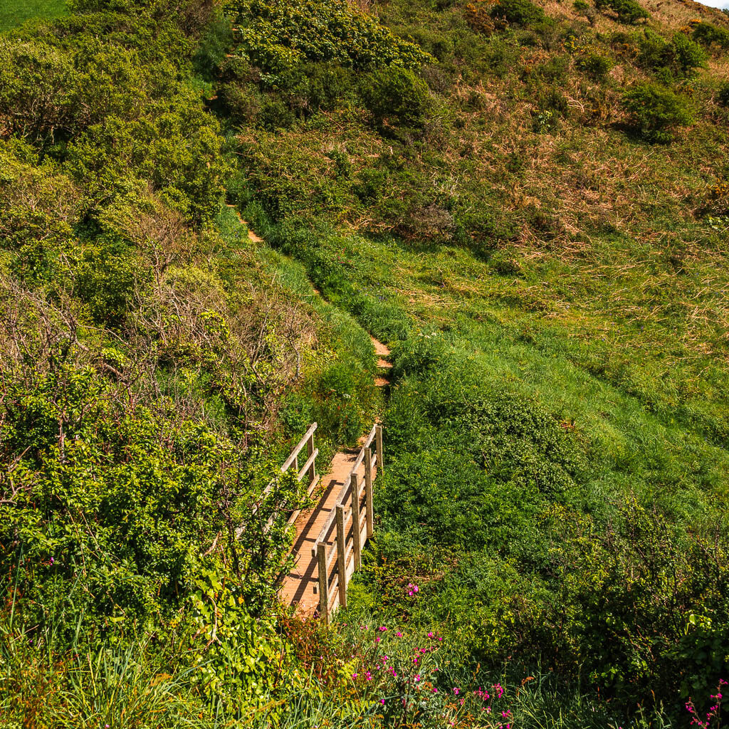 Looking down into the grassy, bushy valley and a wooden bridge.