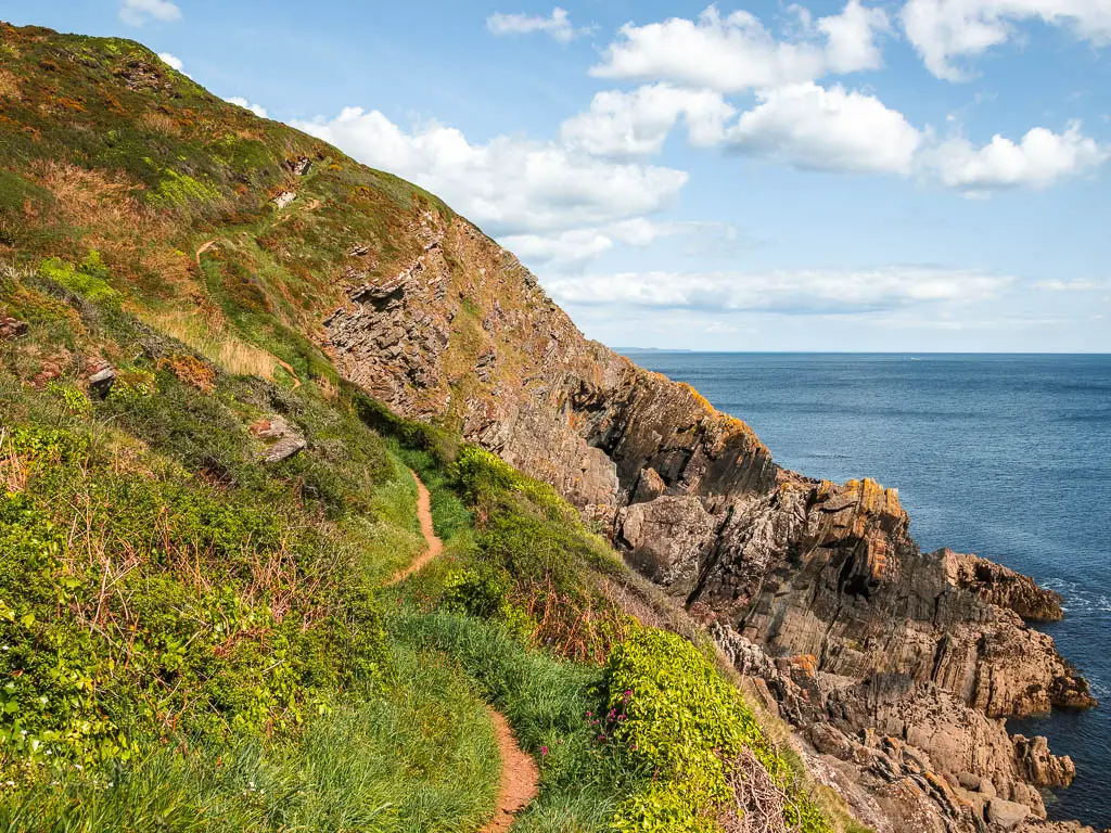 Part of the coastal path trail on the Fowey to Polperro walk. The trail is along the edge of the grass covered clifftop, with a steep drop to the right towards jagged rocks.
