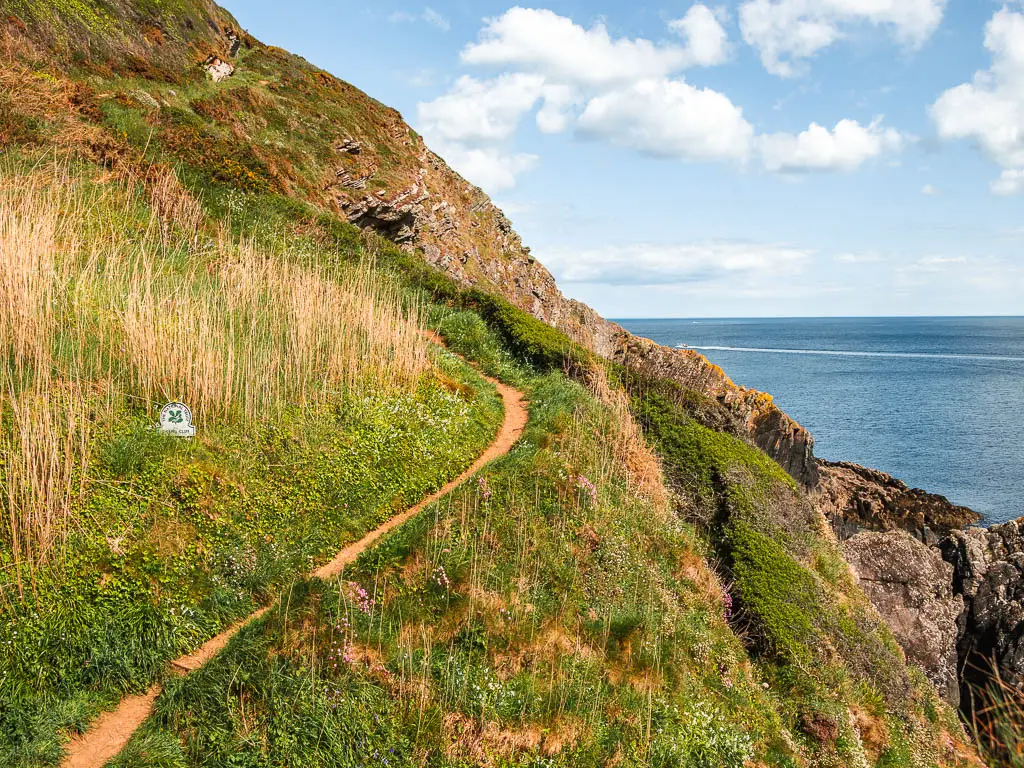 A narrow trail on the edge of the clifftop with a steep drop down to the right along the coastal walk from Fowey to Polperro.