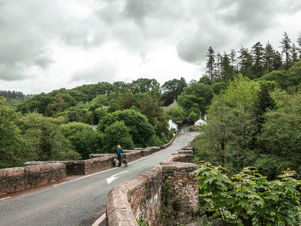 A stone bridge surround by leafy, bushy trees on the circular walk from Gunnislake to the Devon Great Consuls. There is a woman walking her dogs across the bridge.
