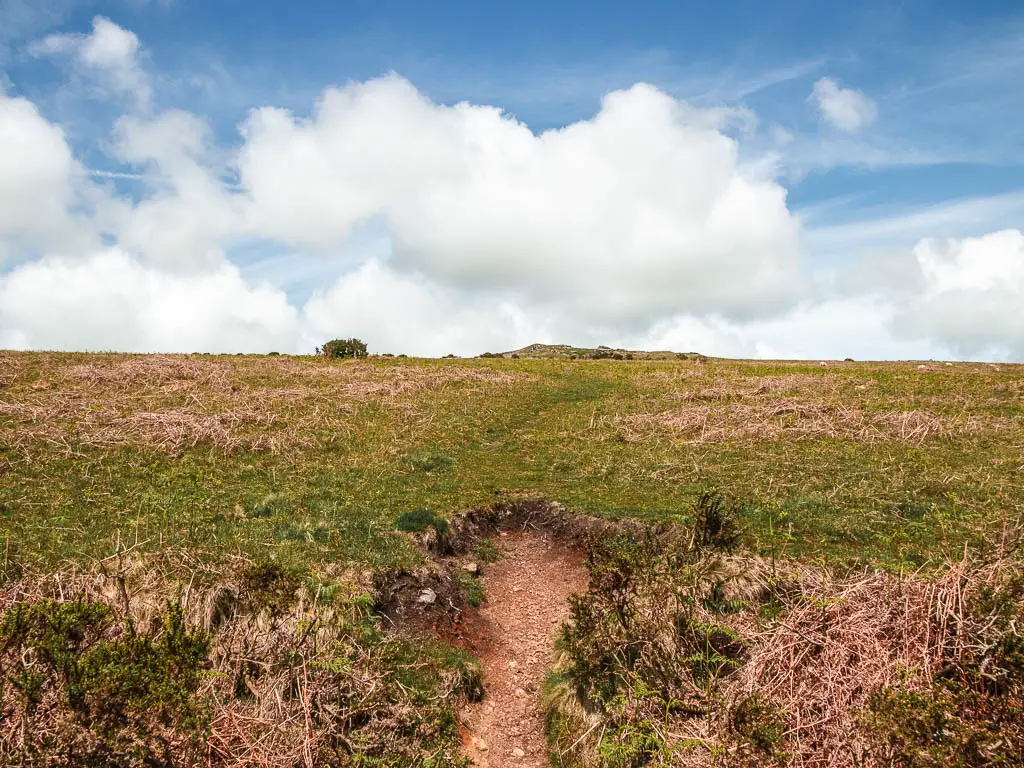 Looking up across the grass hill to Western Beacon in the distance on the circular walk from Ivybridge.