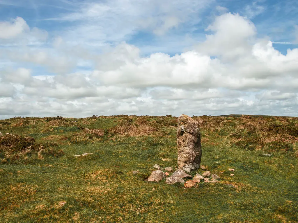 A grass field with a rock standing up.