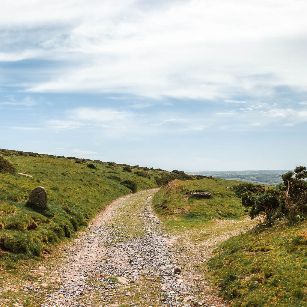 The gravel Redlake Tramway running straight, with a trail leading off to the right on the walk back to Ivybridge. 