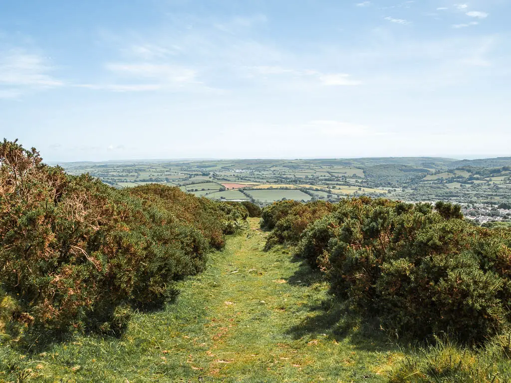 A grass trail lined with bushes and a view to fields in the mistaken below, on the walk back to Ivybridge from the Redlake Tramway. 