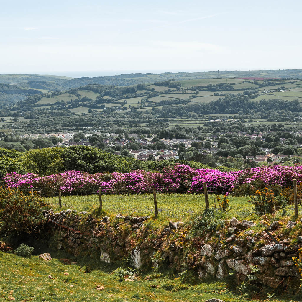 A stone wall, with a small green field on the other side and pink flowers lining the other side of it. There is a view ti the field hills in the distance. 