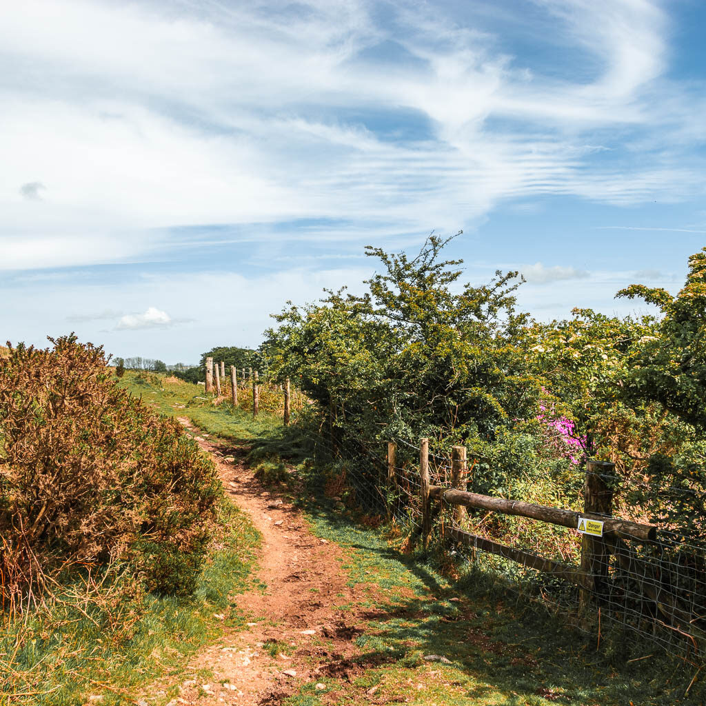 A dirt path with a bush to the left and a wooden and wire fence on the right.