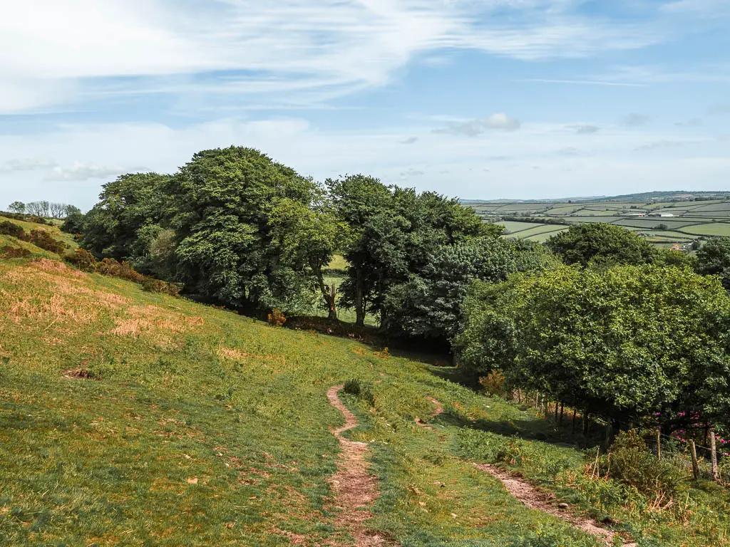 A dirt trail running along the side of a grass hill towards some trees at the end of the Ivybridge to Western Beacon and Redlake Tramway circular walk.