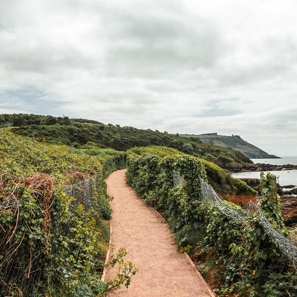 A neat path lined with green hedges. 