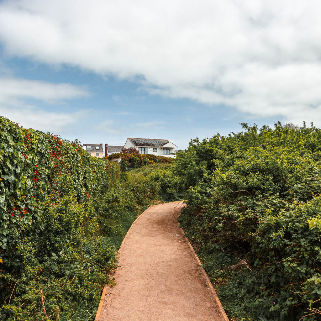 A neat path lined with hedges and a view to some rooftops over the hedge ahead. 