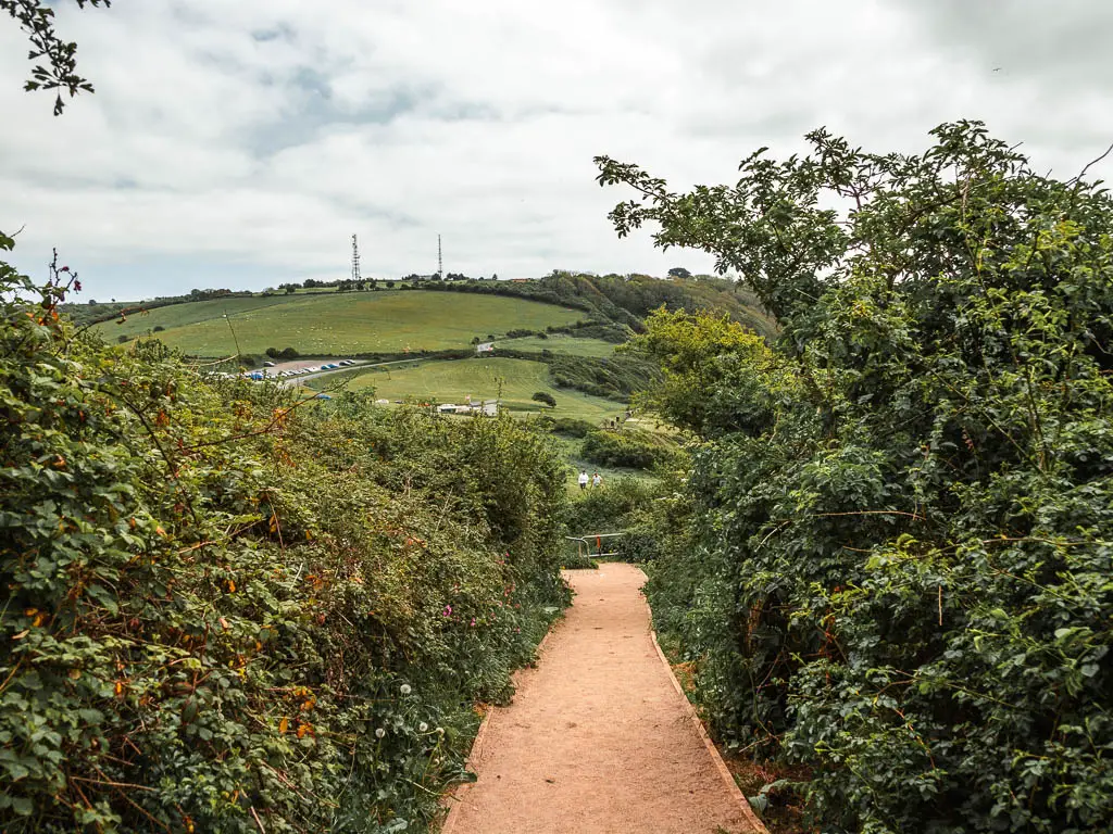 A path lined with bushes and hedges and a view to a green grass hill ahead.