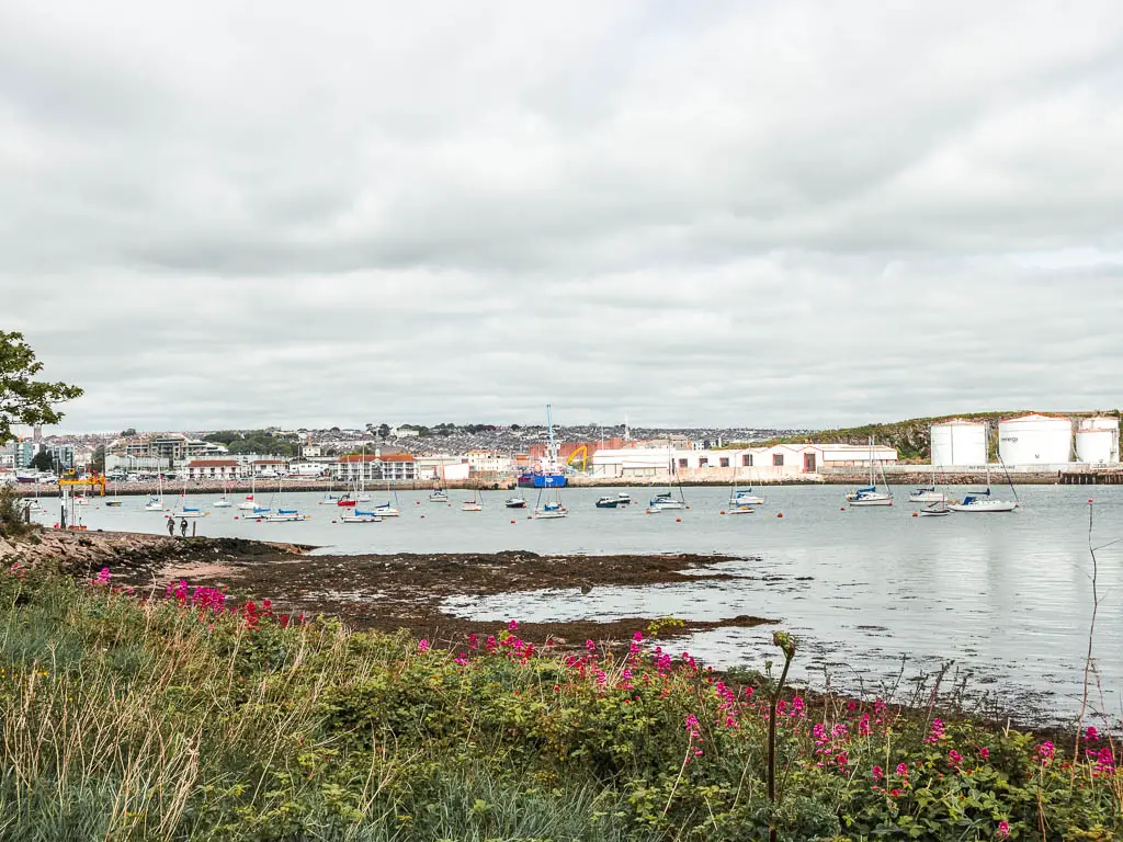 Looking over the tall grass and pink flowers to the water with lots of little sailboats and industrial buildings on the other side of the water. 