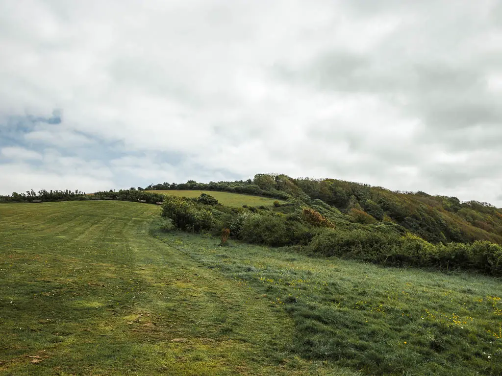 Looking across the large green hill field with some bushes and trees ahead. 