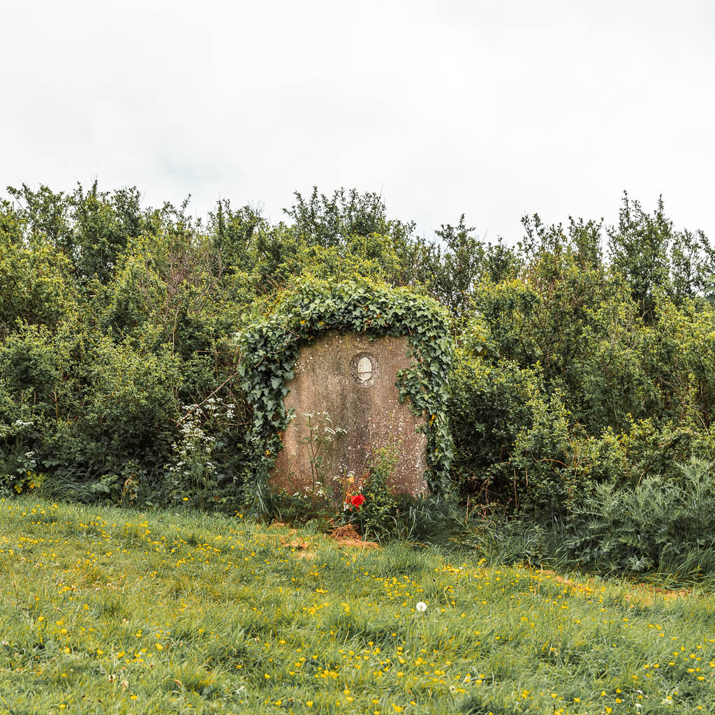 A large stone with an acorn, nestled within the bushes on the Jennycliff walk.