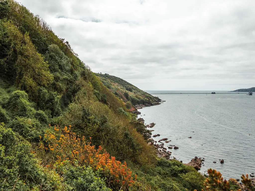 Looking along the tree covered cliffside of Jennycliff, on the coastal walk to Bovisand.