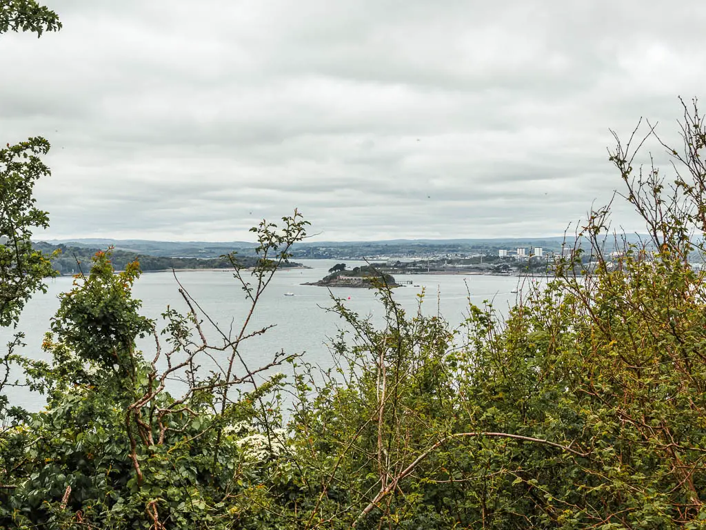 Looking over the bushes to the sea and a little island in the water.