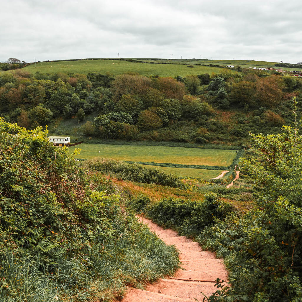 Steps leading down hill, lined with bushes and a view to the green grass hills in the distance.