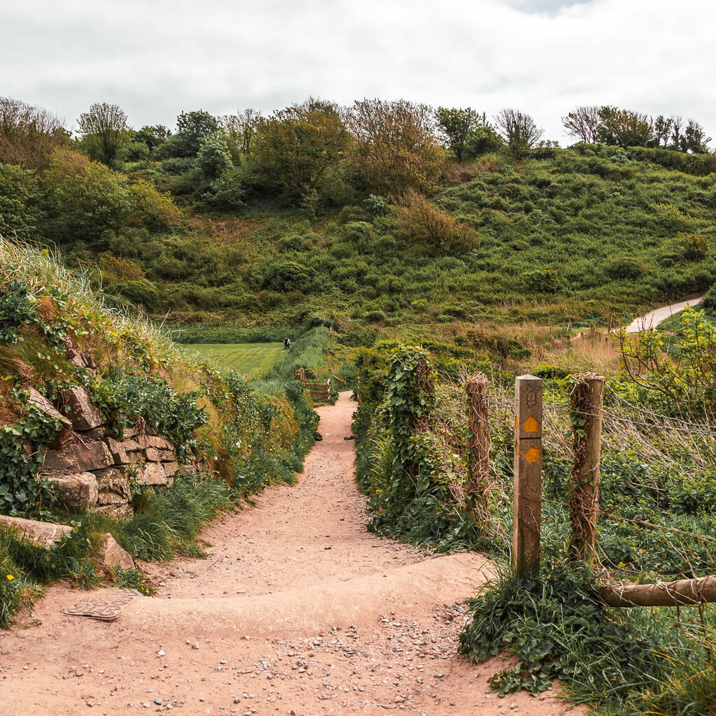 A dirt path lined with bushes, grass and barbed wire fence and a green grass hill in the distance. 