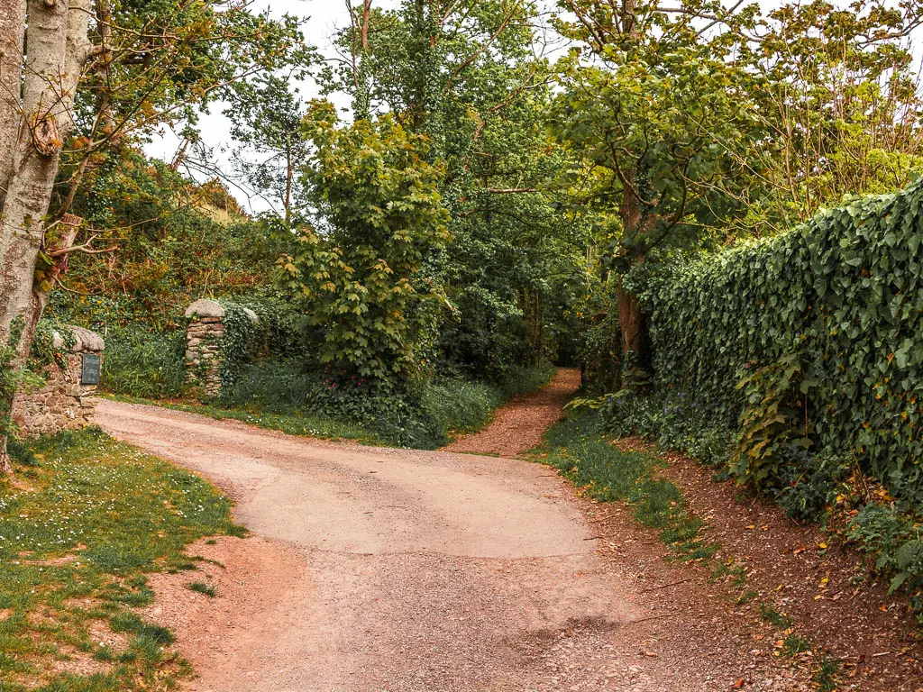 A road as it curves to the left, with a dirt trail leading off it straight ahead. 