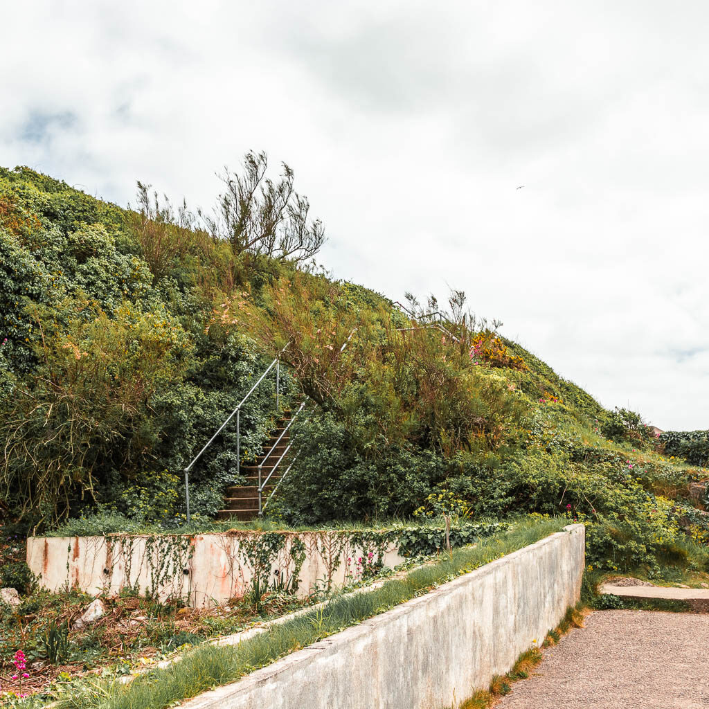 Steps leading uphill, surrounded by bushes. 