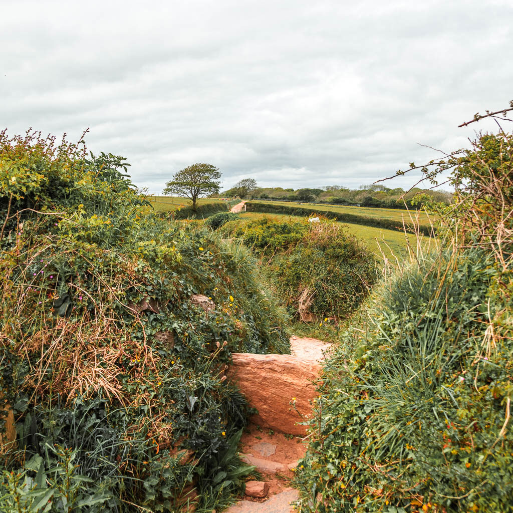 Stone steps within the bushes.