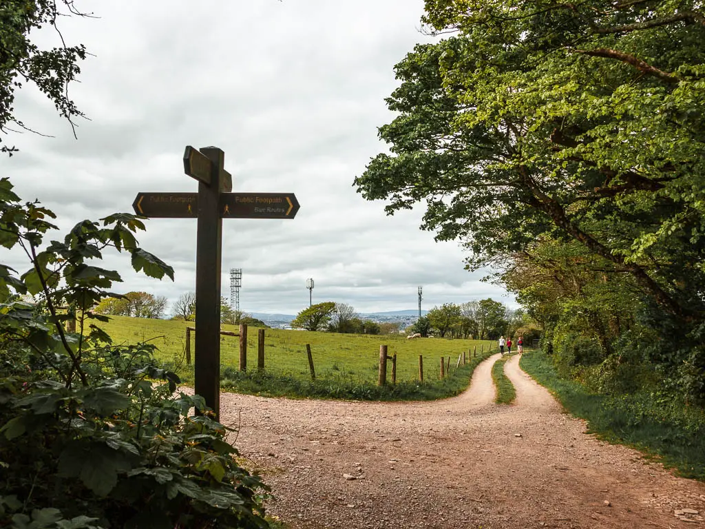 A gravel path at the corner, and a wooden multidirectional trail signpost on the left.